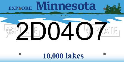 2D04O7 Minnesota License Plate
