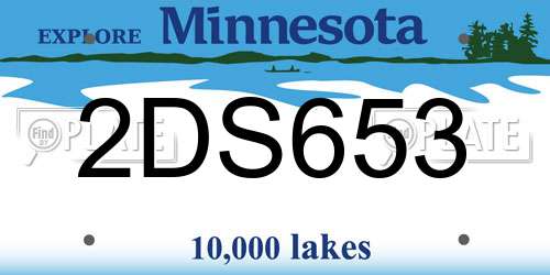 2DS653 Minnesota License Plate
