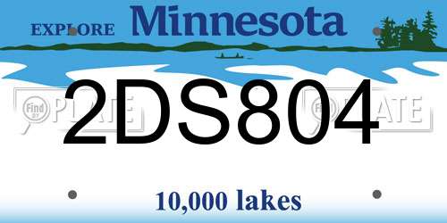 2DS804 Minnesota License Plate