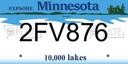 2FV876 Minnesota License Plate