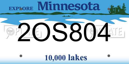 2OS804 Minnesota License Plate