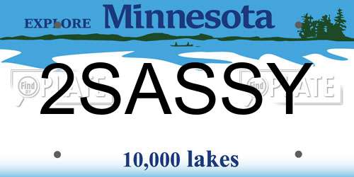2SASSY Minnesota License Plate