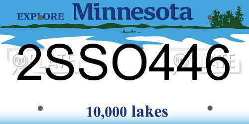 2SSO446 Minnesota License Plate