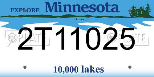 2T11025 Minnesota License Plate