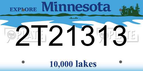 2T21313 Minnesota License Plate