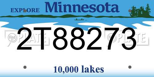 2T88273 Minnesota License Plate