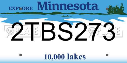 2TBS273 Minnesota License Plate