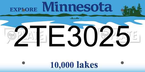 2TE3025 Minnesota License Plate