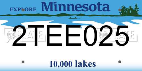 2TEE025 Minnesota License Plate