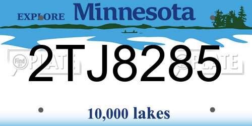 2TJ8285 Minnesota License Plate