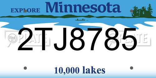 2TJ8785 Minnesota License Plate