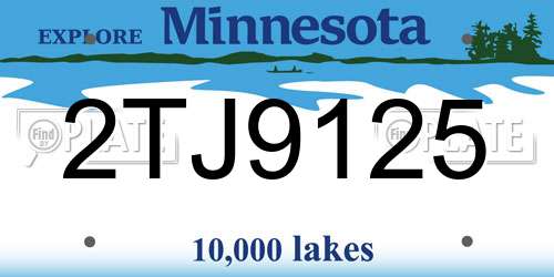 2TJ9125 Minnesota License Plate