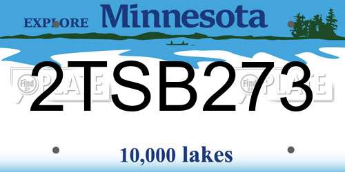 2TSB273 Minnesota License Plate