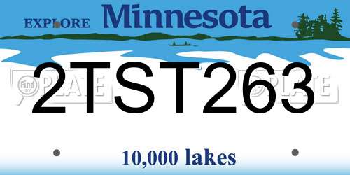 2TST263 Minnesota License Plate