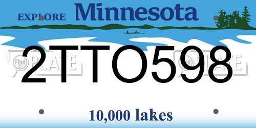 2TTO598 Minnesota License Plate