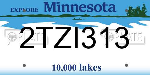 2TZI313 Minnesota License Plate
