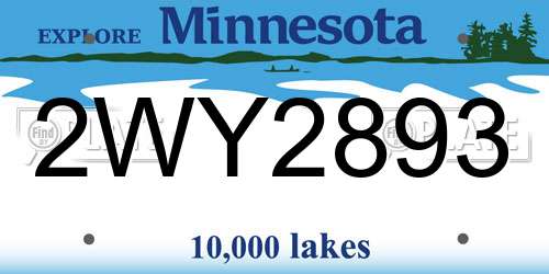 2WY2893 Minnesota License Plate