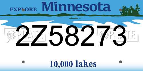 2Z58273 Minnesota License Plate