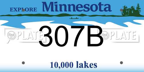 307B Minnesota License Plate
