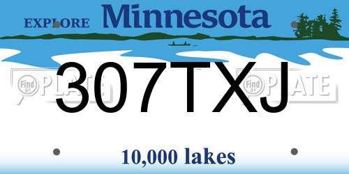 307TXJ Minnesota License Plate
