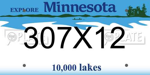 307X12 Minnesota License Plate