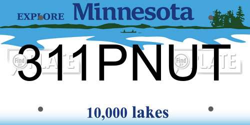 311PNUT Minnesota License Plate