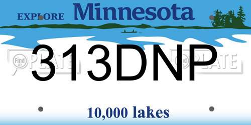313DNP Minnesota License Plate