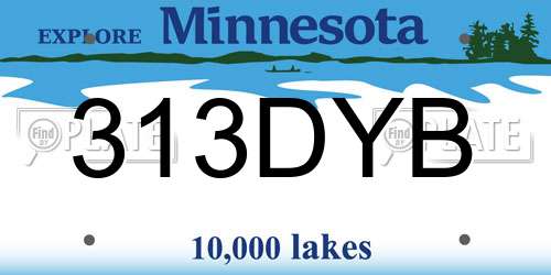 313DYB Minnesota License Plate