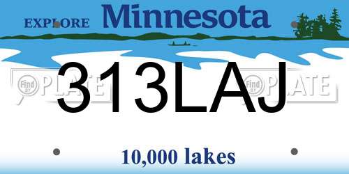 313LAJ Minnesota License Plate