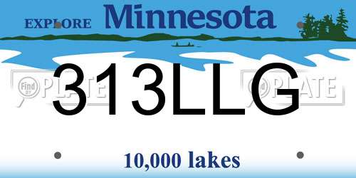 313LLG Minnesota License Plate