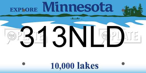 313NLD Minnesota License Plate