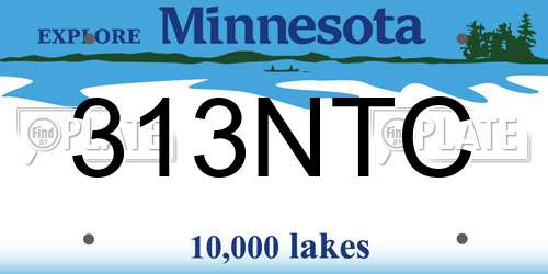 313NTC Minnesota License Plate