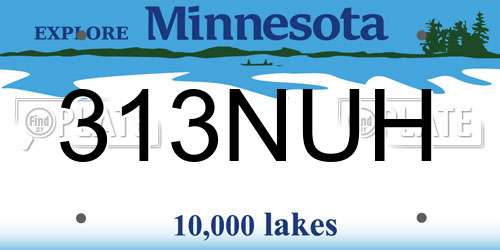 313NUH Minnesota License Plate