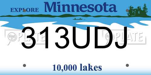 313UDJ Minnesota License Plate