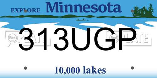 313UGP Minnesota License Plate