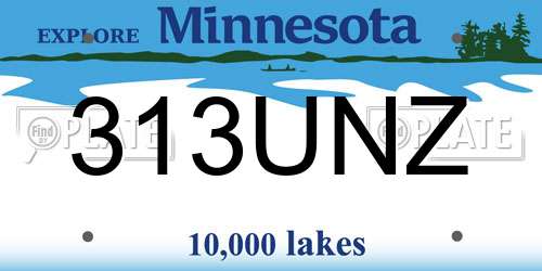313UNZ Minnesota License Plate