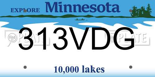 313VDG Minnesota License Plate