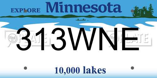 313WNE Minnesota License Plate