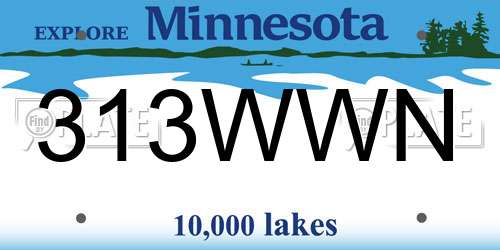 313WWN Minnesota License Plate