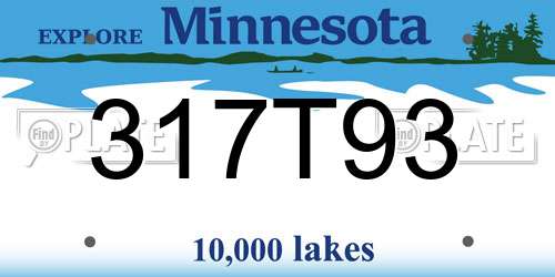 317T93 Minnesota License Plate