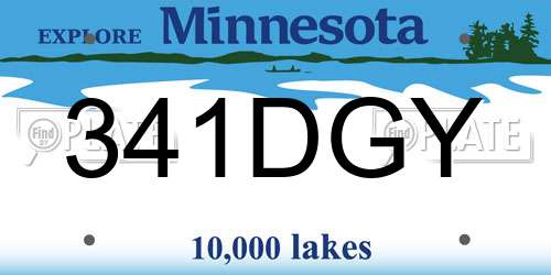 341DGY Minnesota License Plate