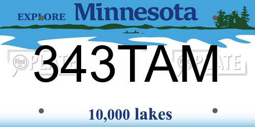 343TAM Minnesota License Plate