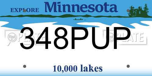 348PUP Minnesota License Plate