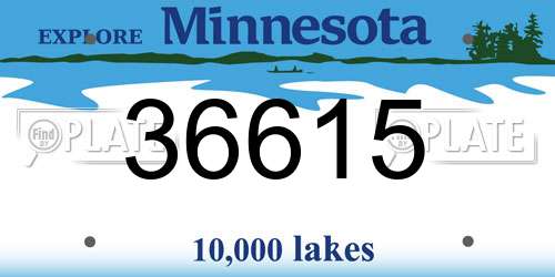 36615 Minnesota License Plate