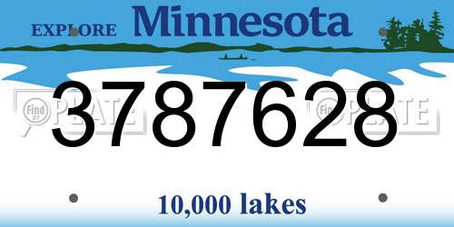 3787628 Minnesota License Plate