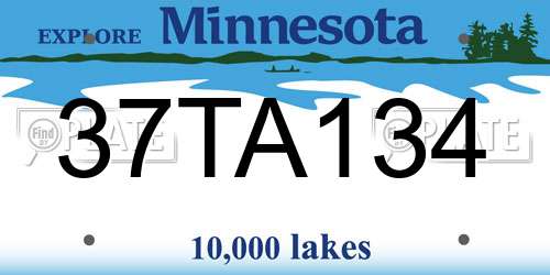 37TA134 Minnesota License Plate