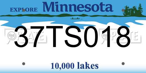 37TS018 Minnesota License Plate