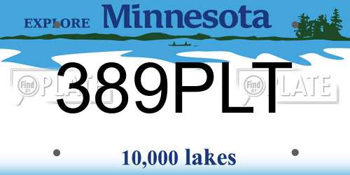 389PLT Minnesota License Plate