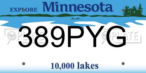 389PYG Minnesota License Plate