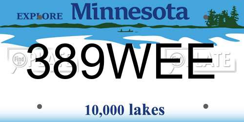 389WEE Minnesota License Plate